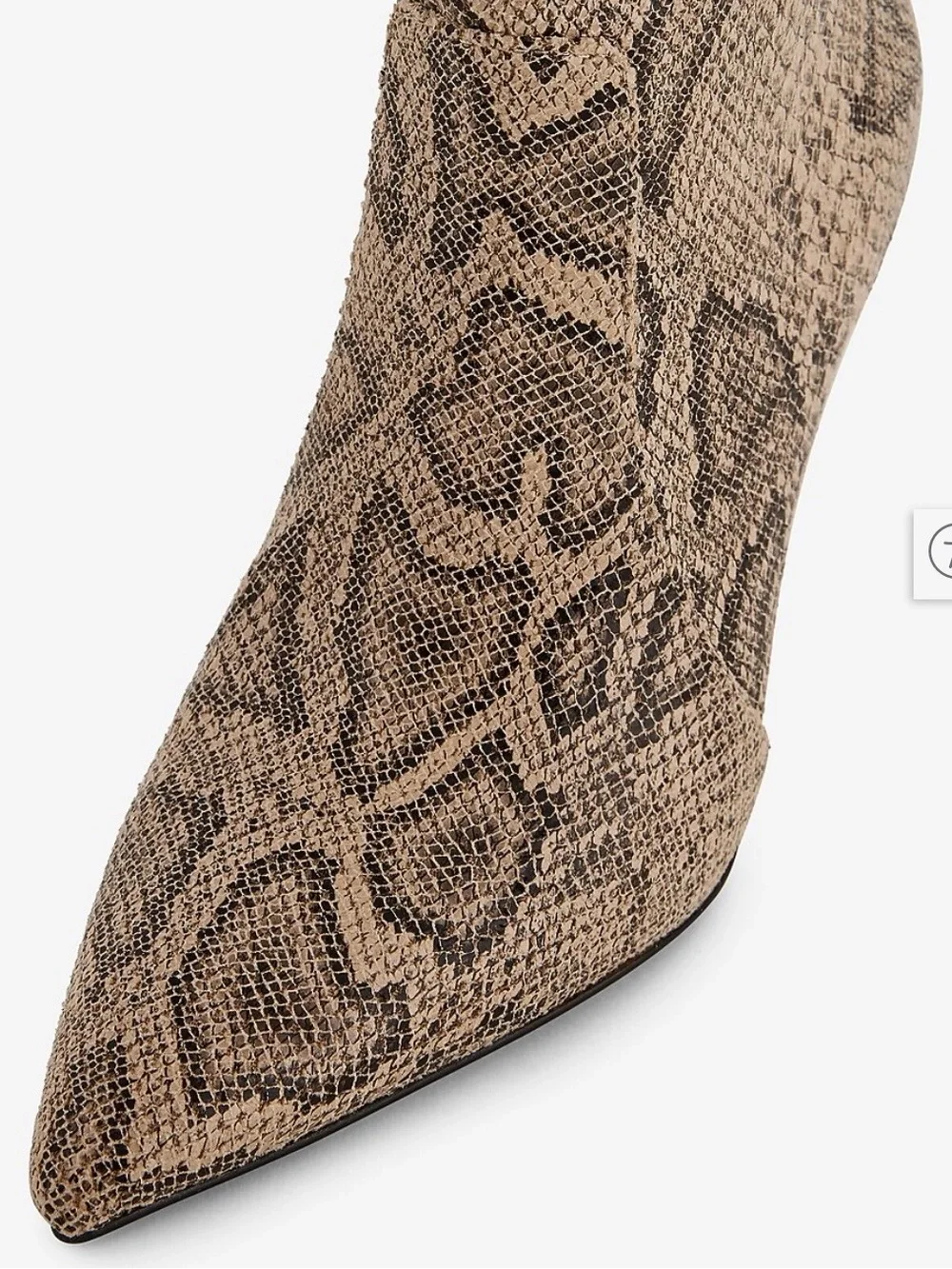 Express Snakeskin Over-the-Knee Pointed Stiletto Boot - Brown